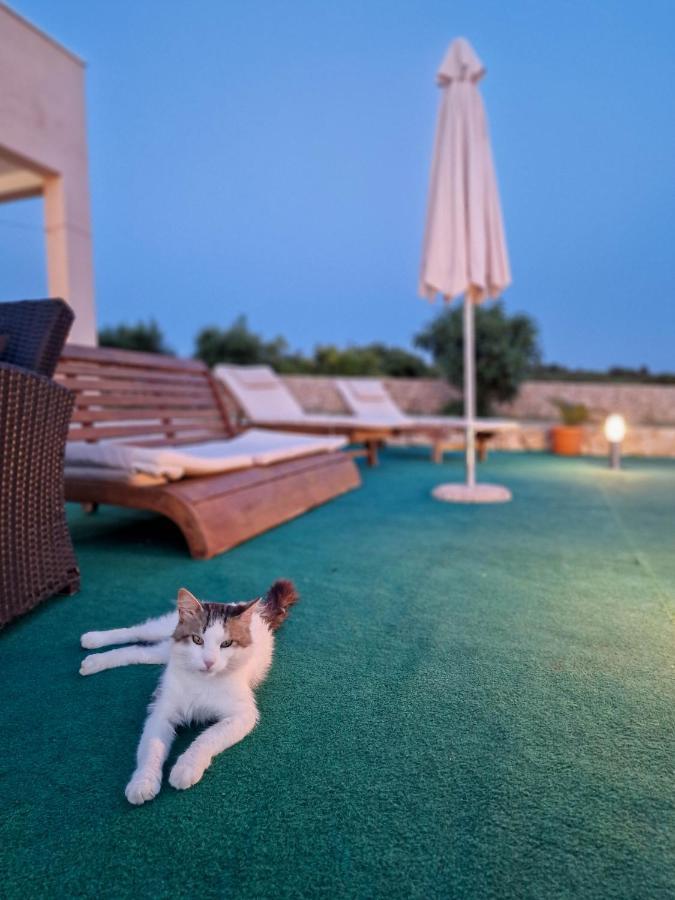 Vila Cicovac Novalja Exteriér fotografie